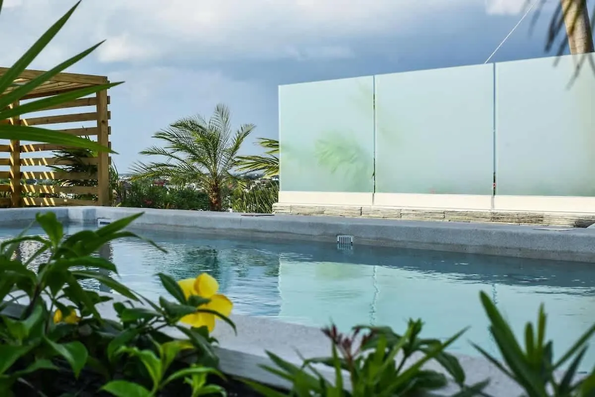 Modern Beachside Retreat W Pool And Rooftop Views Playa del Carmen Apartment