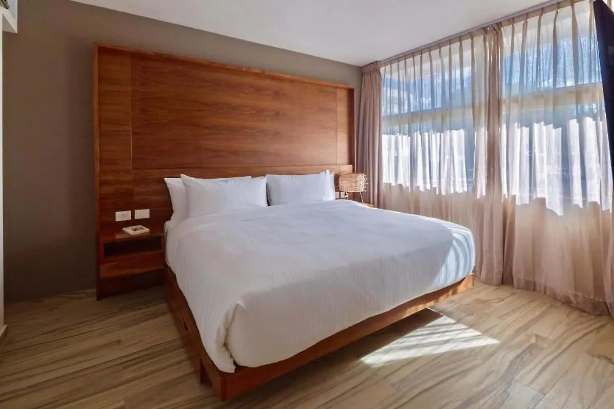 Apartment Modern Beachside Retreat W Pool And Rooftop Views Playa del Carmen